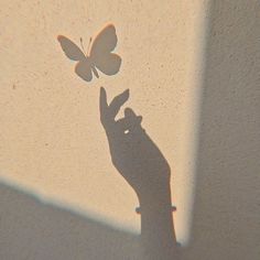 a shadow of a hand holding a butterfly