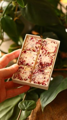 a hand holding a small box filled with white and red food next to green leaves