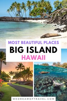 A collage of three beautiful photos of the Big Island Hawaii; a monk seal on a white sand beach, a path surrounded by palm trees at sunset, and a girl underwater with a turtle.  With the text overlay "Most beautiful places Big Island Hawaii by wedreamoftravel.com" Hawaii Big Island Photography, Best Hawaiian Island