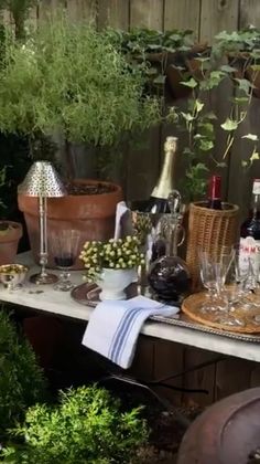 a table topped with lots of bottles of wine next to potted plants and glasses