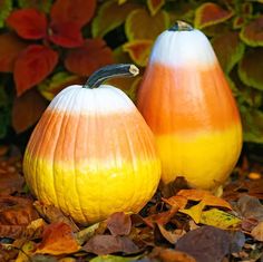 two orange and white pumpkins sitting on top of leaves