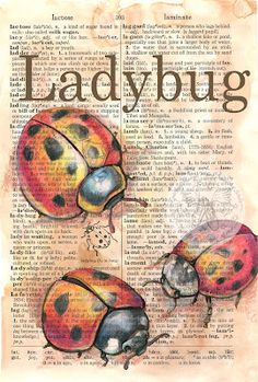 two ladybugs are sitting on top of an old book with the word ladybug written in it