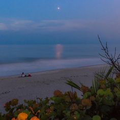 two people are sitting on the beach at dusk