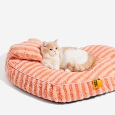 an orange and white cat laying on top of a pink striped dog bed with a tag