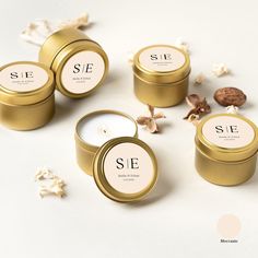 four gold tins with labels on them sitting next to shells and seashells