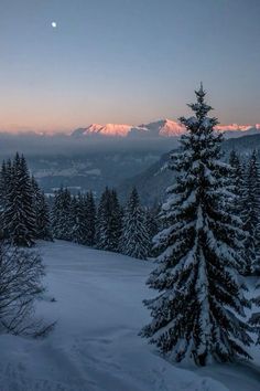 the sun is setting in the mountains with snow on the ground and pine trees covered in snow