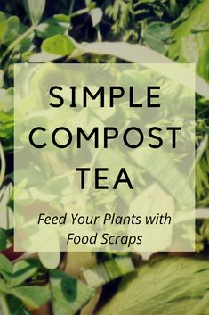 a pile of green plants with the words, simple compostt tea feed your plants with food scraps