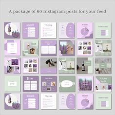 a purple and green brochure with photos on it, including the words instagram posts