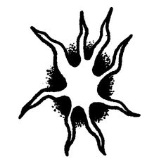 an abstract black and white image of four hands in the shape of a sun on a white background