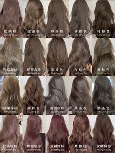 Subtle Hair Colors For Dark Hair, Asian Hair Color Ash Brown, Ash Brown Vs Chocolate Brown, Asian Light Hair Color, Brown Hair Blue Undertone, Milktea Brown Hair Color Asian, Brown Hair Shades For Fair Skin, Hair Dye Colors For Asians, Milk Tea Brown Hair On Tan Skin