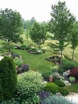 a garden with lots of trees and bushes