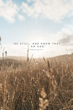 a field with tall grass and the words be still and know that i am god