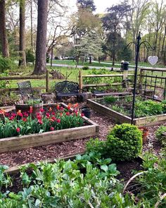 a garden filled with lots of different types of flowers