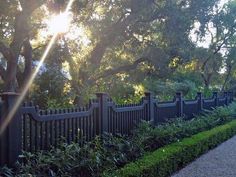 the sun shines brightly through the trees and bushes along this fenced in area