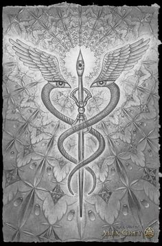 a drawing of a medical symbol with wings and a snake on it's back