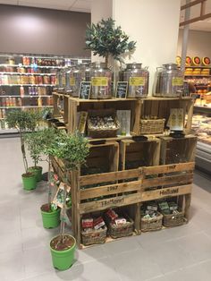 several wooden crates filled with plants in a grocery store's produce section, including herbs and spices