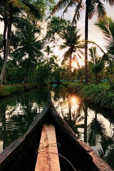 a wooden boat traveling down a river surrounded by palm trees and greenery at sunset