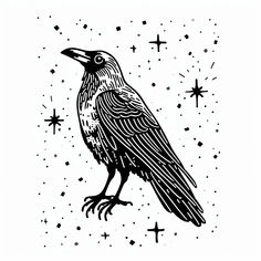 a black and white drawing of a raven sitting on top of a star filled sky