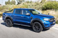 a blue pick up truck parked on the side of the road in front of some bushes