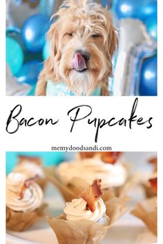 bacon cupcakes on a plate with a dog sticking its tongue out and the words bacon pupcakes above it