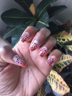 Tropical jungle cat!  Cheetah print: Essie “Mink”  Orange ombré: L.A. Girl “BabyCakes”, Essie “Sizzling Hot”, Salon Perfect “Flamingo Flair”, And Essie “Meet me at Sunset” Jungle Cat, Orange Ombre, Cheetah Print, A Girl, Flamingo, Orange