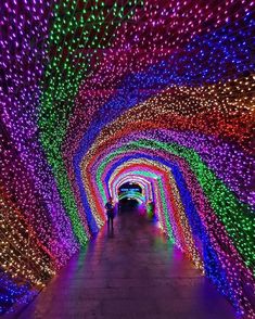 people walking through a tunnel filled with lights and trees covered in multicolored lights