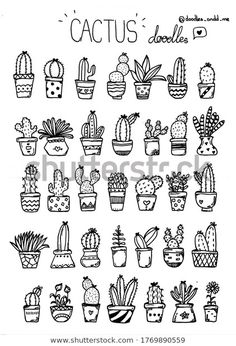 cactus doodles are shown in black and white