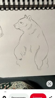 a drawing of a bear is shown on an instagram page