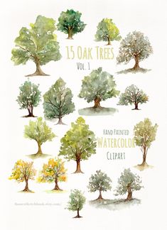 watercolor trees are shown with the words 15 oak trees, vol 1 hand painted