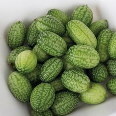 a white bowl filled with green cucumbers