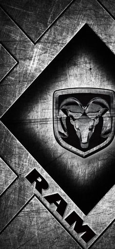 an emblem on the side of a metal plate with a bull's head in it