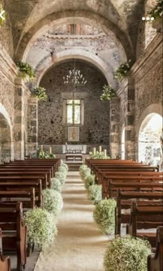 the inside of an old church with rows of pews and plants growing in them