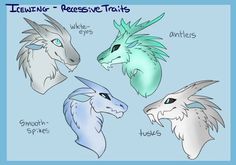 four different types of dragon heads with blue eyes and white wings, all in various colors