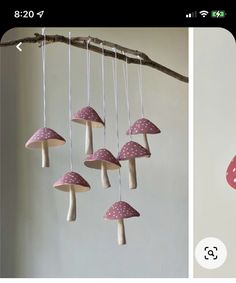 pink and white mushrooms are hanging from a tree branch with strings attached to the ceiling