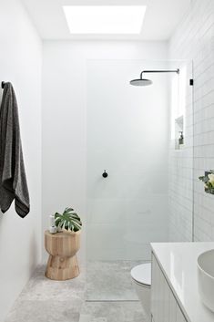 a white bathroom with a skylight above the toilet and shower stall, along with a plant on the counter