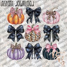 an image of pumpkins with bows and leopard print on the front, in different colors