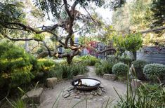 a fire pit in the middle of a garden surrounded by trees and bushes with rocks around it