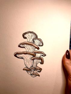 a drawing of mushrooms is being drawn on the wall