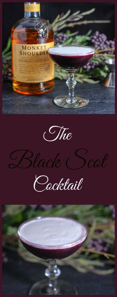 the black soot cocktail is served in coupe glasses