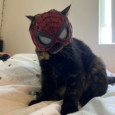 a cat wearing a spider man mask on top of a bed