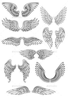 an image of angel wings in different positions