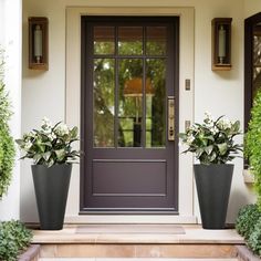 two potted plants sit on the front steps of a house, next to an entry door