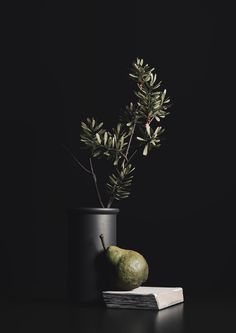 a plant in a black pot next to a book and a pear on a table