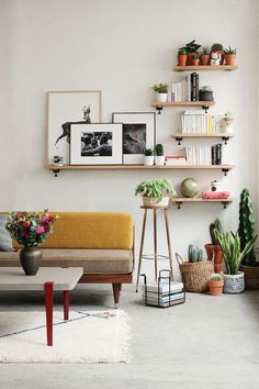 a living room filled with furniture and plants