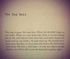 the dog hair poem is written in cursive writing