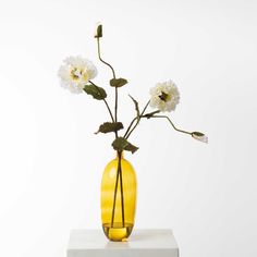 a yellow vase with white flowers in it