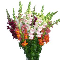 a vase filled with lots of different colored flowers