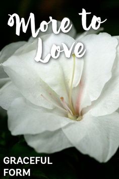 a white flower with the words more to love