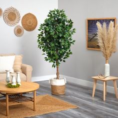 a living room filled with furniture and a potted plant on top of a table