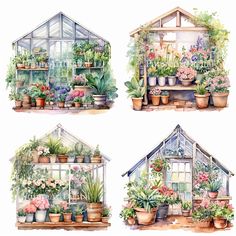 four watercolor paintings of greenhouses with flowers and plants in pots on the windowsill